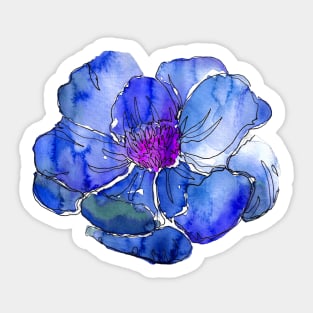 Watercolor peonies pink spring girly blue Sticker